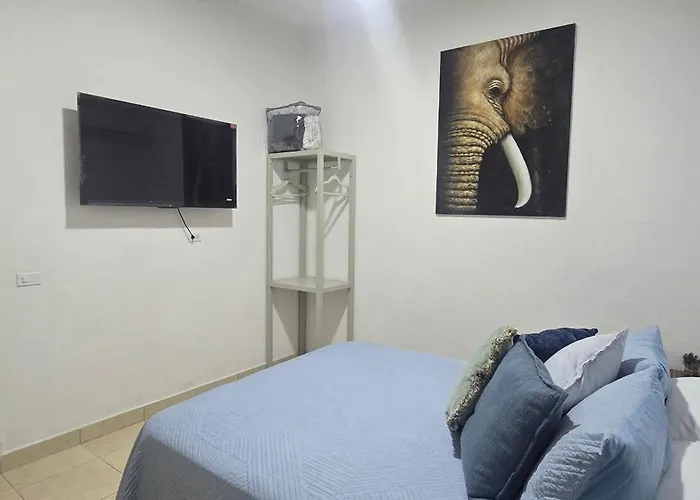 Pent-house Apartment